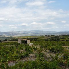 P1020873 (Copier)